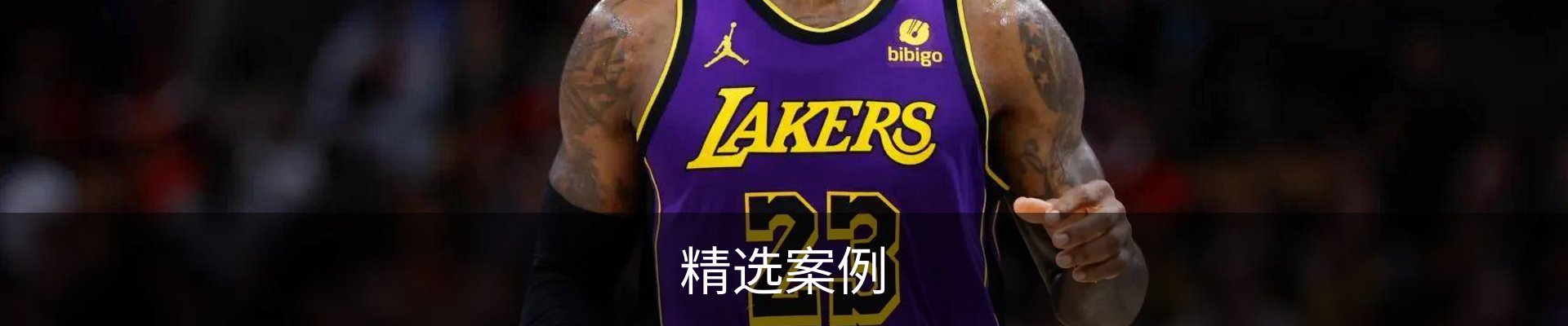 精选案例